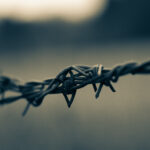 barbed wire